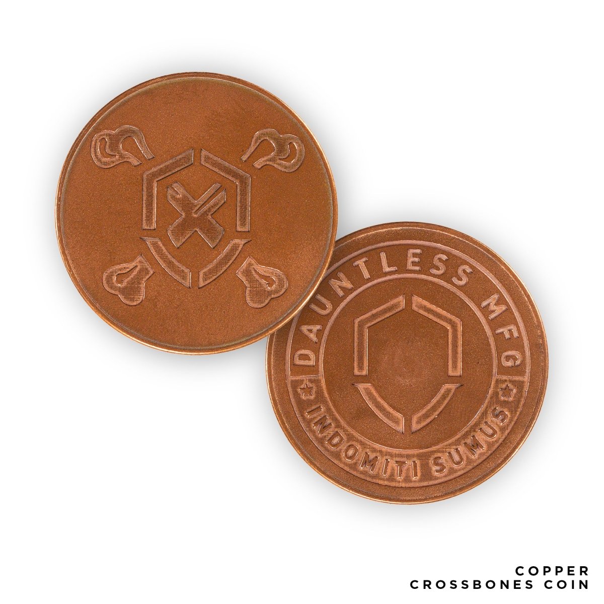 Dauntless Crossbones Coin - Dauntless Manufacturing